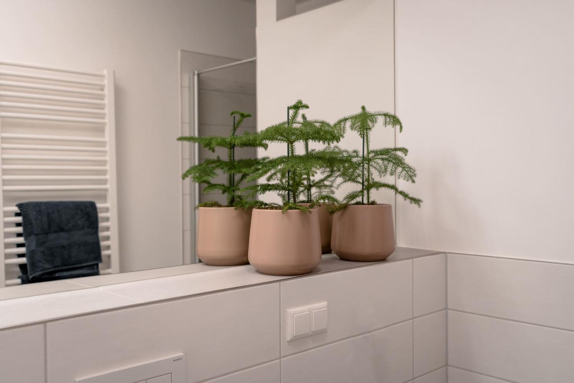 Ferienwohnung Altstadt Regensburg Exteriör bild